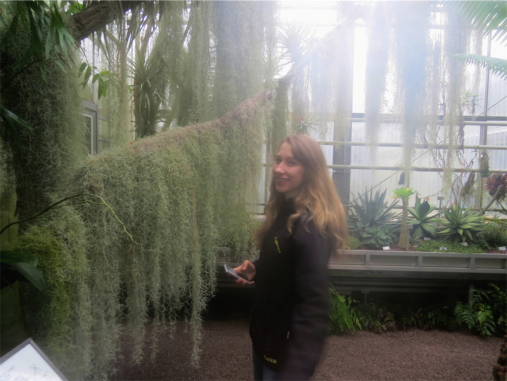 BK_Botanischer Garten SG 66.JPG