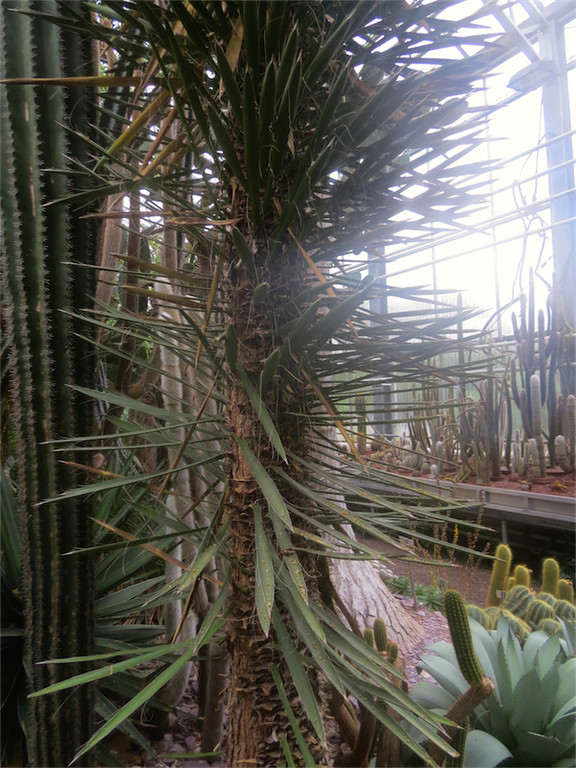 BK_Botanischer Garten SG 69.jpg