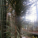 BK_Botanischer Garten SG 69.jpg