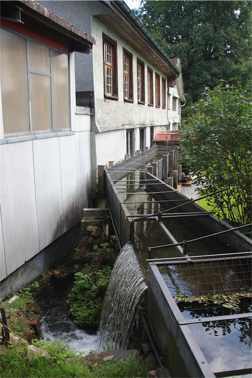 BK_Alte Hammerschmiede Sennwald 4.jpg