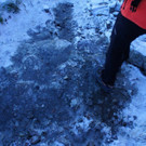 DSC03596.JPG