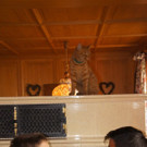 DSC03414.JPG