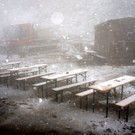 DSC03452.JPG