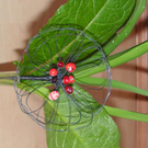 PICT0085.jpg