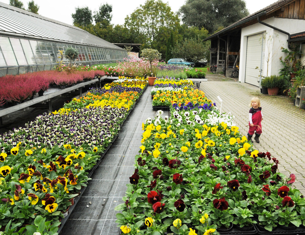 Mahlerhof 29-09-2013 121.jpg