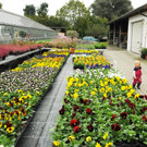 Mahlerhof 29-09-2013 121.jpg