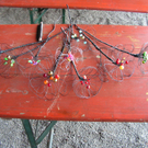 PICT0102.JPG