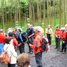 Wallfahrt _3__JPG-1272800646