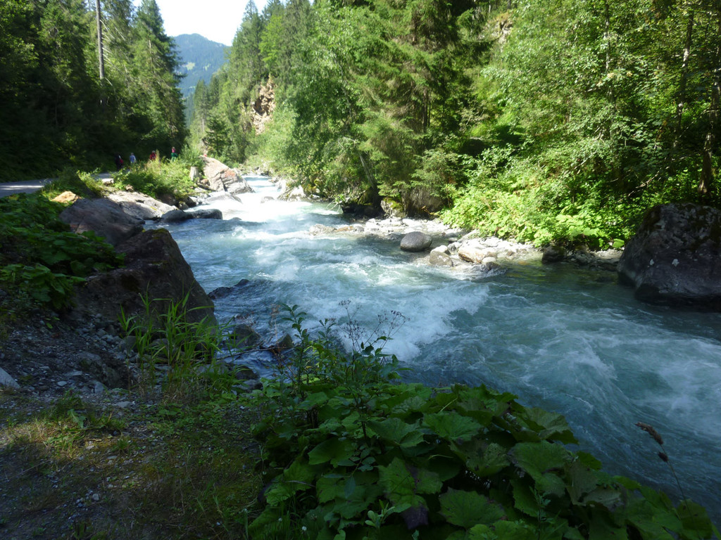 2014-08-17 14_48_19.jpg