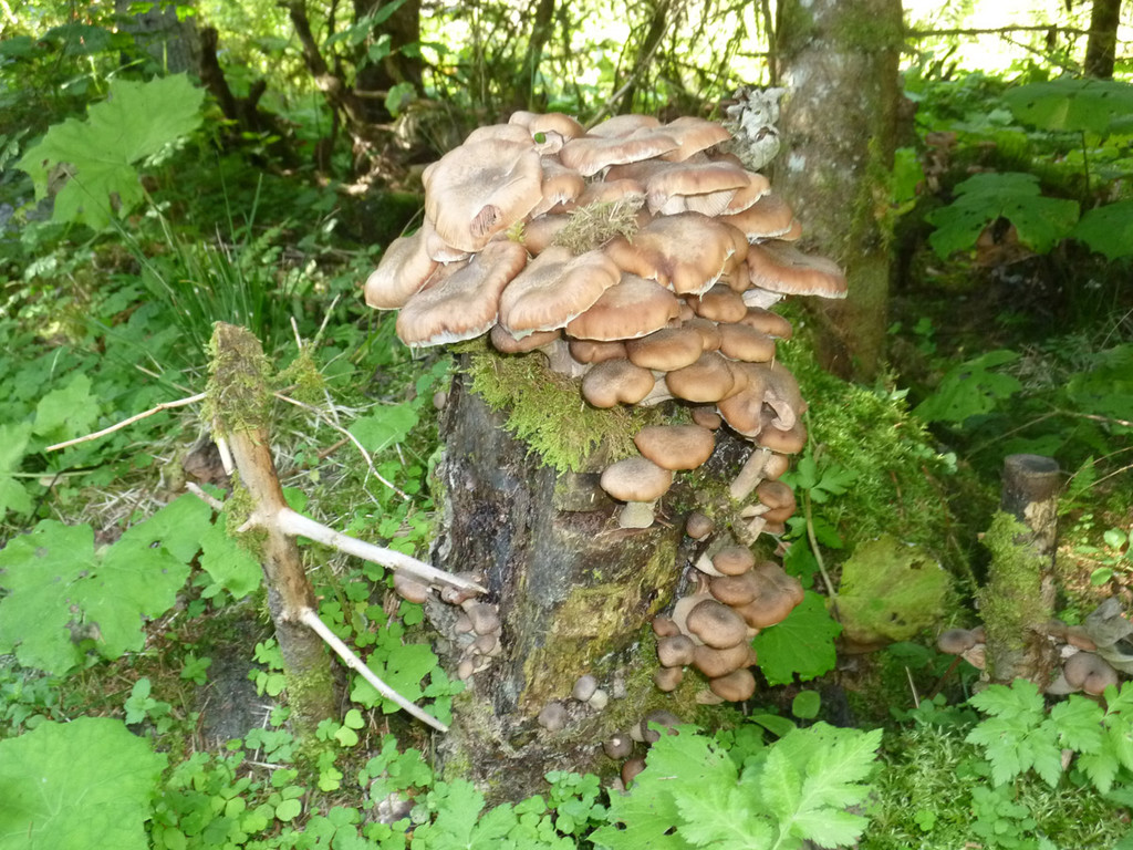 2014-09-17 12_51_48.jpg