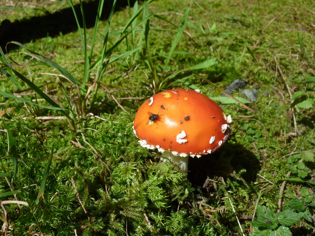 2014-08-17 12_14_47.jpg