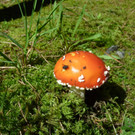 2014-08-17 12_14_47.jpg