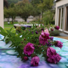 KOE_Junpensionistentag 16.jpg