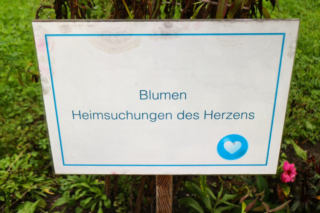 KOE_Junpensionistentag 17.jpg