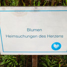 KOE_Junpensionistentag 17.jpg