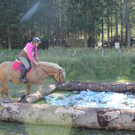 IMG_4224_JPG-1411664268.jpg
