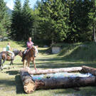 IMG_4252_JPG-1411665203.jpg