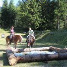 IMG_4253_JPG-1411665302.jpg
