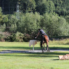 IMG_4100_JPG-1411666744.jpg