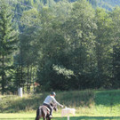 IMG_4113_JPG-1411667680.jpg