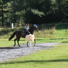 IMG_4122_JPG-1411668283.jpg