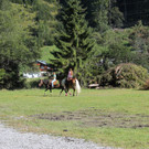 IMG_4128_JPG-1411668743.jpg