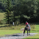 IMG_4132_JPG-1411669153.jpg