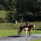 IMG_4144_JPG-1411670014.jpg