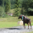 IMG_4164_JPG-1411671511.jpg