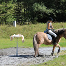 IMG_4176_JPG-1411672473.jpg