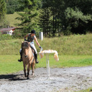IMG_4178_JPG-1411672656.jpg