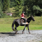 IMG_4191_JPG-1411672928.jpg