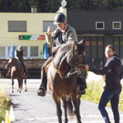 Blinderreiter8_JPG-1411677045.jpg