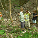 DSCN3429_JPG-1272806315