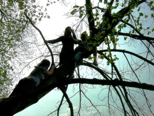 DSCN3435_JPG-1272806348