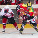 file6h4ocxnnhyx1eprbv1bf.jpg