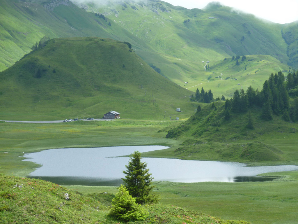 K__rbersee 15_07_14 004_bearbeitet-1.jpg