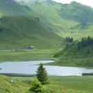 K__rbersee 15_07_14 004_bearbeitet-1.jpg
