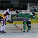 IMG_7799.jpg