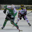 IMG_7893.jpg