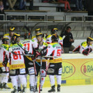 IMG_7953.jpg