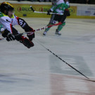 IMG_7833.jpg