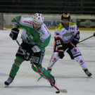 IMG_7893.jpg