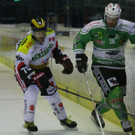 IMG_7937.jpg