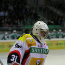 IMG_7947.jpg