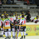 IMG_7953.jpg