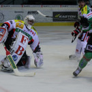 IMG_7960.jpg