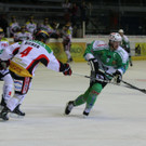 IMG_7972.jpg