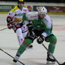 IMG_7974.jpg