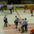 IMG_7704.jpg
